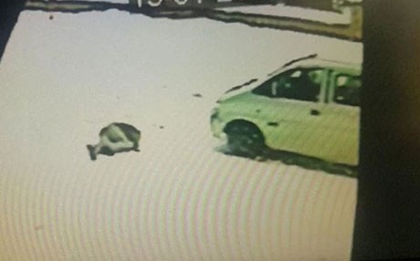 Başına buz sarkıtı düşen adam hayatını kaybetti