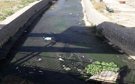 رێژەی ژەهراویبوون بەهۆی ئاوی پیس لە گوندەکانی پارێزگای سنە زۆر بووە