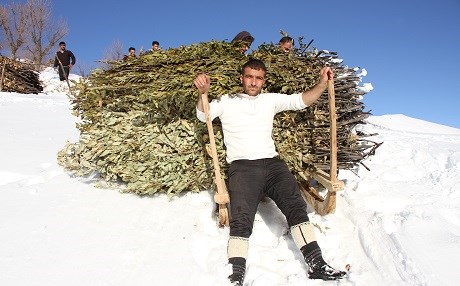 BEDLÎS - Ajeldar di ser berfê re çilo ji ajelên xwe re dibin