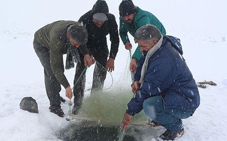 Buz tutan baraj balıkçıların ekmek kapısı oldu