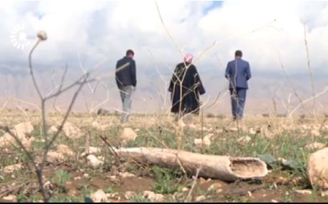ŞENGAL - Yağışlar toplu mezarlardaki kemikleri ortaya çıkarttı