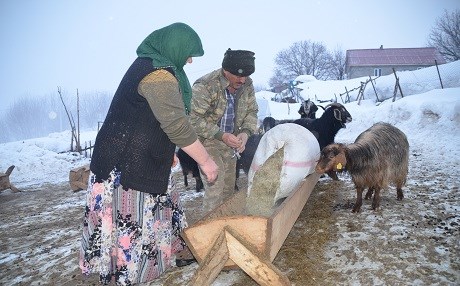 Jiyana ajelvanan 12 mehan di konên naylon de derbas dibe