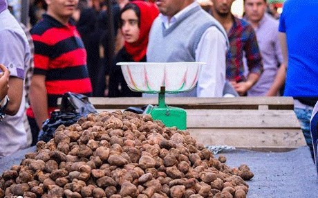 لە پارێزگایەکی عێراق کۆکردنەوەی دۆمبەڵان قەدەخە دەکرێت