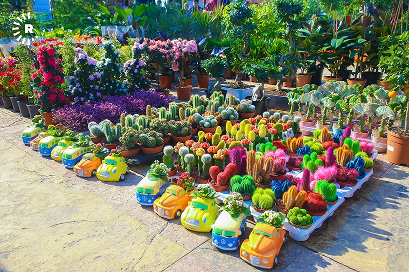 پێشانگەی گوڵ و باخچە لە هەولێر