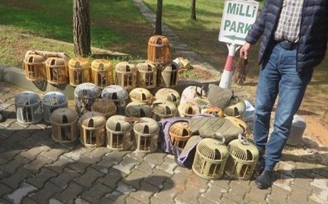 Li Rihayê 28 kew hatin azadkirin