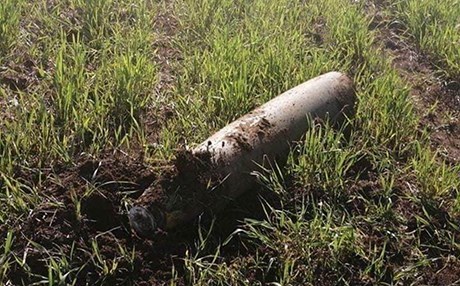 Li Qeladizê mûşekek kete xwarê