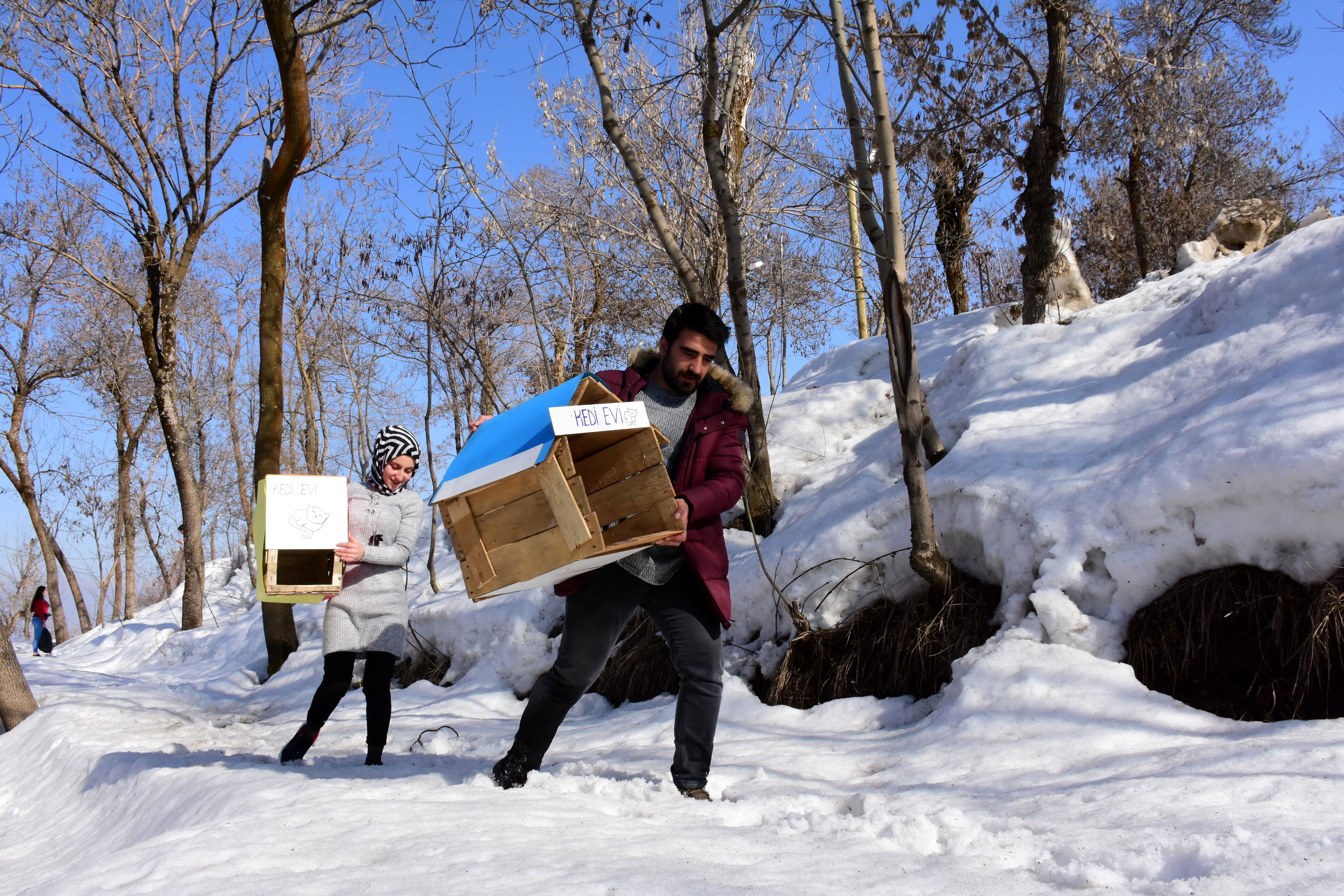 FOTO/MUŞ - Üniversite öğrencileri sokak hayvanları için barınak yaptı