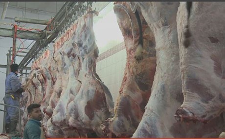 Veterîner hişyariyê didin: Di nav goştê sor de kurm heye