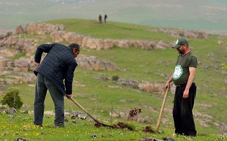 Ji Komeleya Sirûşta Dîcleyê kampanyaya çandina daran