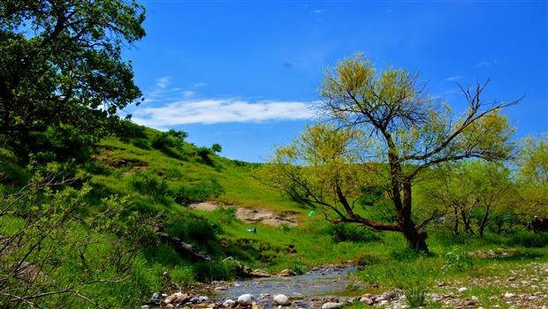 خوایە وەتەن ئاواکەی