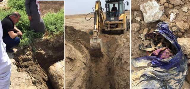 Parêzgarê Musena: Goreke bi kom hat dîtin û hemû Kurd in