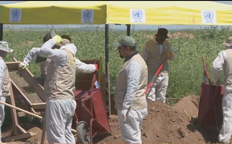 لە قۆناخی دووەمدا لە گوندی کۆچۆ دوو گۆڕی بەکۆمەڵ هەڵدەدرێنەوە
