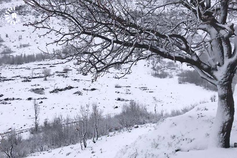 WÊNE - Bihar e lê li Kurdistanê hêj berf dibare