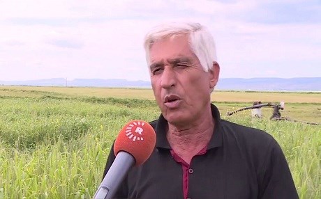 Li Rojava berhemên genim û ceh 2 milyon ton derbas dikin