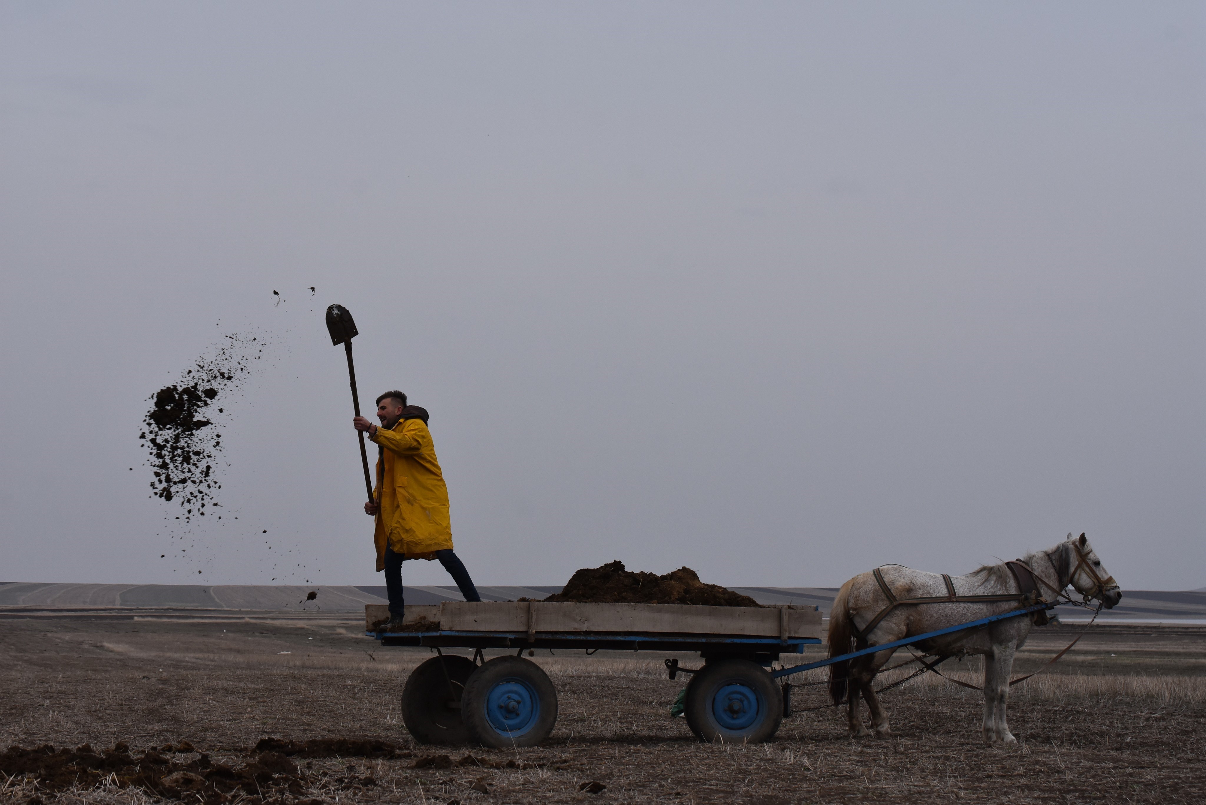 FOTO - Kars'ta bahar