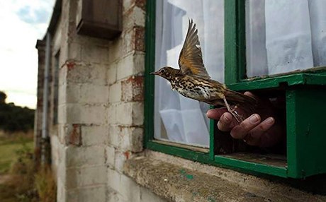 "یادداشتێکی بێواتای غوربەتی"