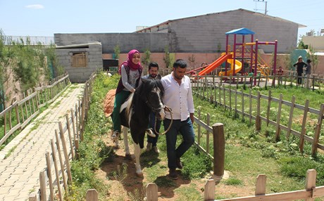 Urfa’da safkan Arap atlarıyla terapi
