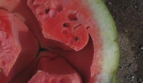 ئێران بۆ یەک دۆنم شووتی ھەشت کیلۆ مادەی کیمیایی بەکاردەھێنێت