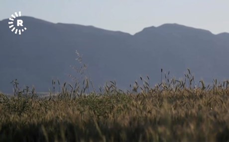 IŞİD Kürt köylerinde zorla haraç ve zekat topluyor