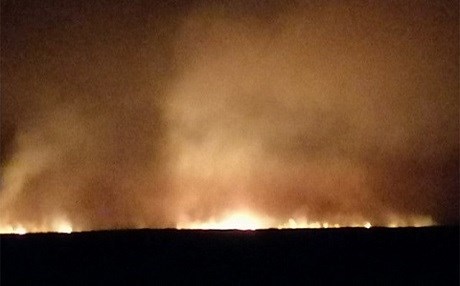 Agir bi genim û cehên cotkarên Kerkûkê ket: 4 kes mirin