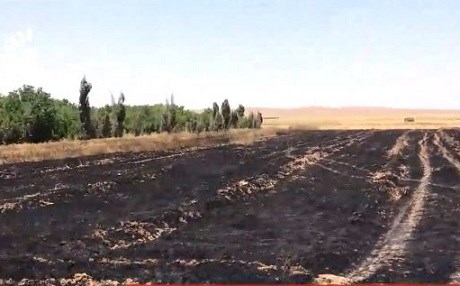 Iraq: Şewitandina zeviyên genim ên cotkaran karekî terorîstî ye