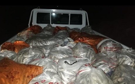 Li Wanê dest bi ser 3 ton masiyên qaçax de hat girtin