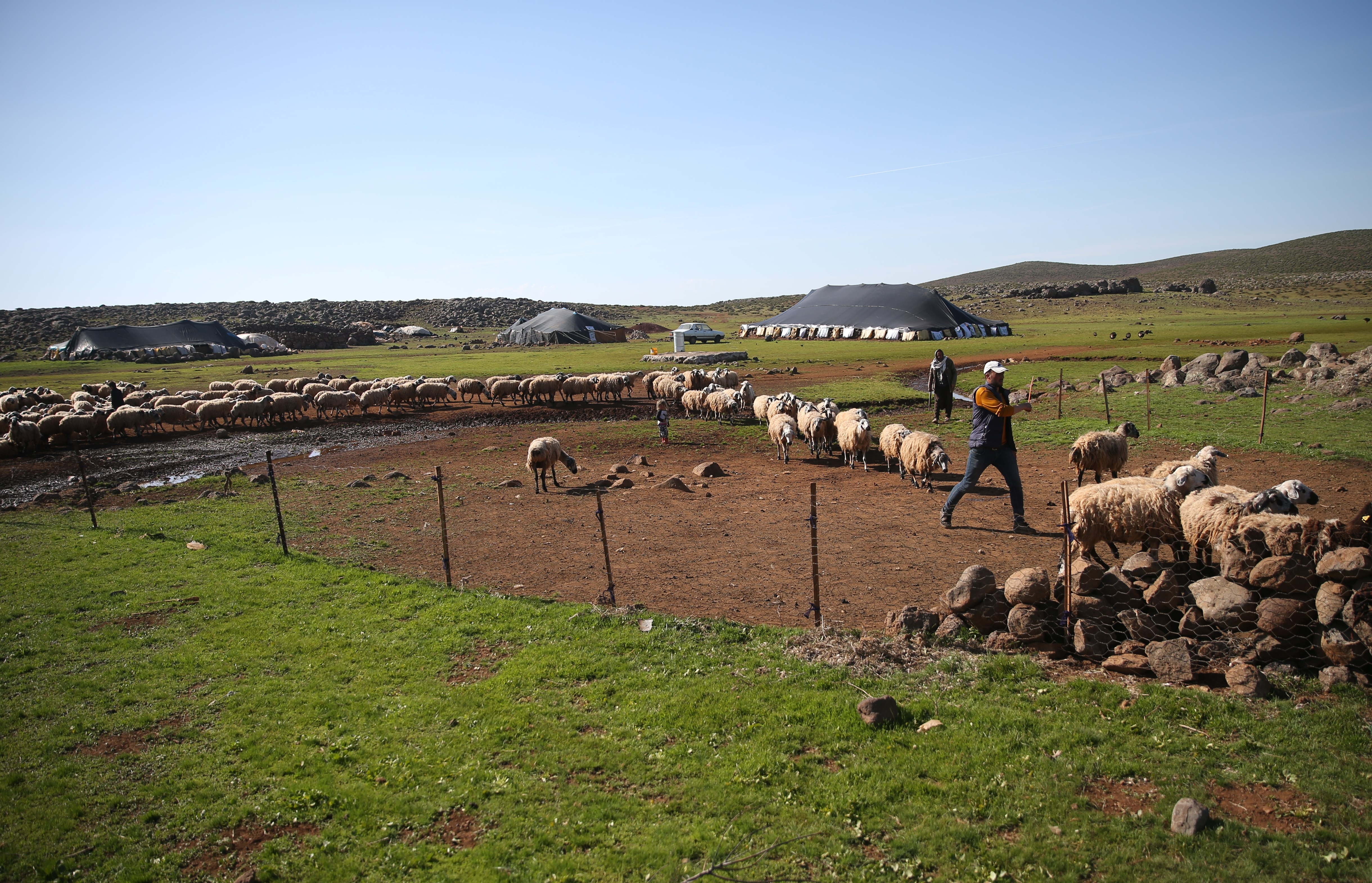 FOTO - Göçerlerin Karacadağ’da zorlu yaşamı