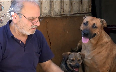 Li Stenbolê Kurdek 25 sal e bi pisîk û seyan re dijî