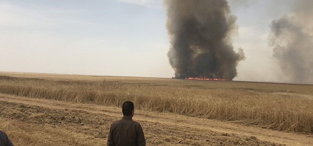 BI VÎDEO – Li Pirdê berhêmên çandinî yên Kurdan hatin şewitandin