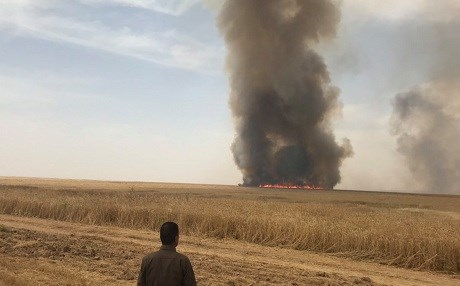 Tometbarên şewitandina genimê cotkarên Pirdê hatin berdan
