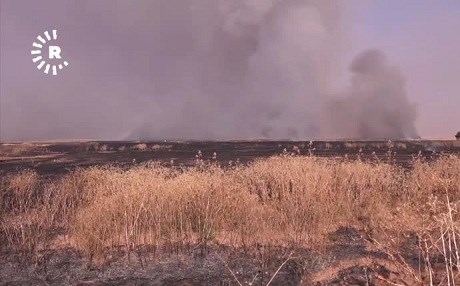 Li Rojvayê Kurdistanê heta niha 70 hezar donim zevî şewitî ne