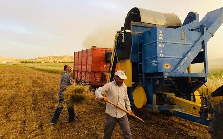 Cotkarên Amedê dest bi dirûna nîskan kirin
