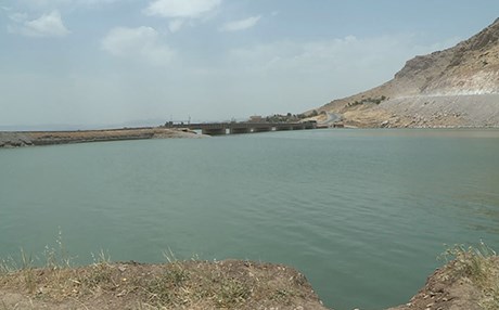 15 هەزار پەنجەماسی خرایە نێو ئاوی دەربەندی رانیە