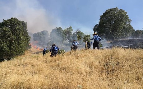 Li Helebceyê hezar donim rez û bax şewitîn