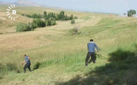 Li Mûşê paletiya dirûna giya destpê kir