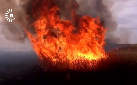 ROJAVA-  Agir bi zeviyên 7 gundên Tirbespiyê ket