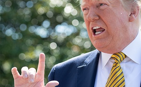 Trump: Askeri seçenek masada