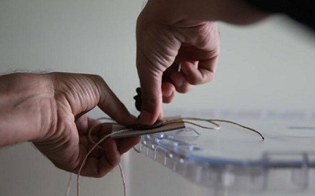 Qedexeyên hilbijartinê dest pê kir