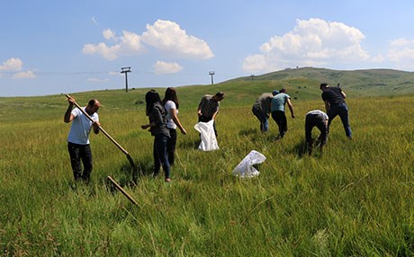 Kaçak salep soğanı toplamaya 60 bin lira ceza