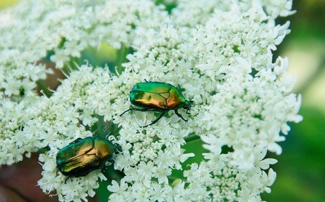 Munzur Vadisi Milli Parkı’ndan kareler