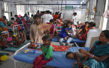 الهند.. مصرع 48 جراء وباء "التهاب الدماغ الياباني"