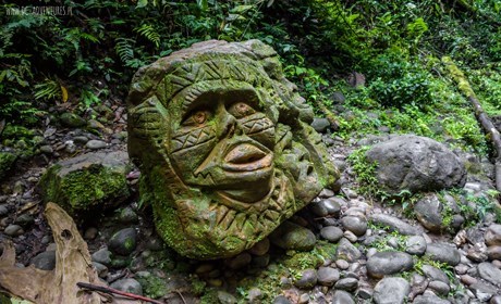 Çêja bîranînan li daristanên efsaneyî yên Amazonê