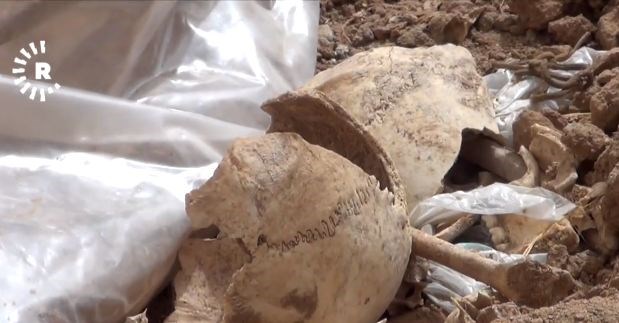 Piraniya gorên bikom ên şerê DAIŞê nehatine vedan