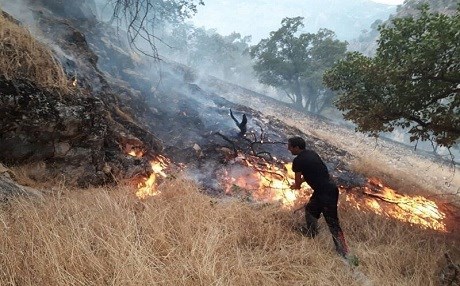 Agirê li daristanên Îlamê hate kontrolkirin