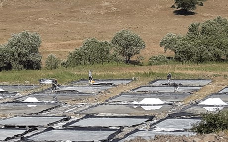 DERSİM - 400 yıldır aynı yöntemle doğal tuz üretiyorlar