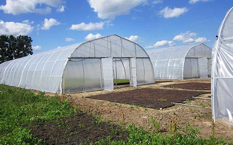 Li Kurdistanê di 19 hezar xaniyên plastîk de çandinî tê kirin