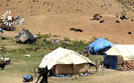 Li Sîdekan 200 çêlek radestî xwediyê wan hatin kirin û du gavan jî hatin azadkirin