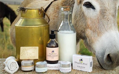 Krizdeki İran’da eşek sütünün litresi 15 dolar