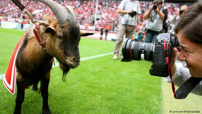 ڤیدیۆ ؛ چیرۆکی بزنەکەی کۆڵن