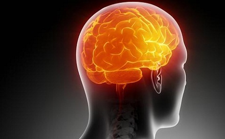 Komaya mejî û teknîkên nû yên nasandinê aktîvîteyên wê